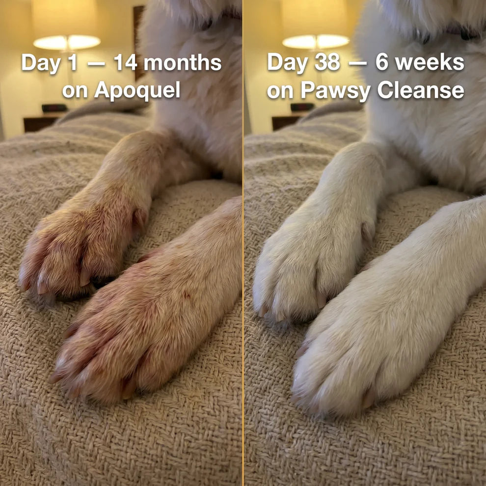 Pawsy™ Parasite Cleanse Drops