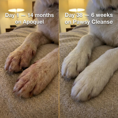 Pawsy™ Parasite Cleanse Drops
